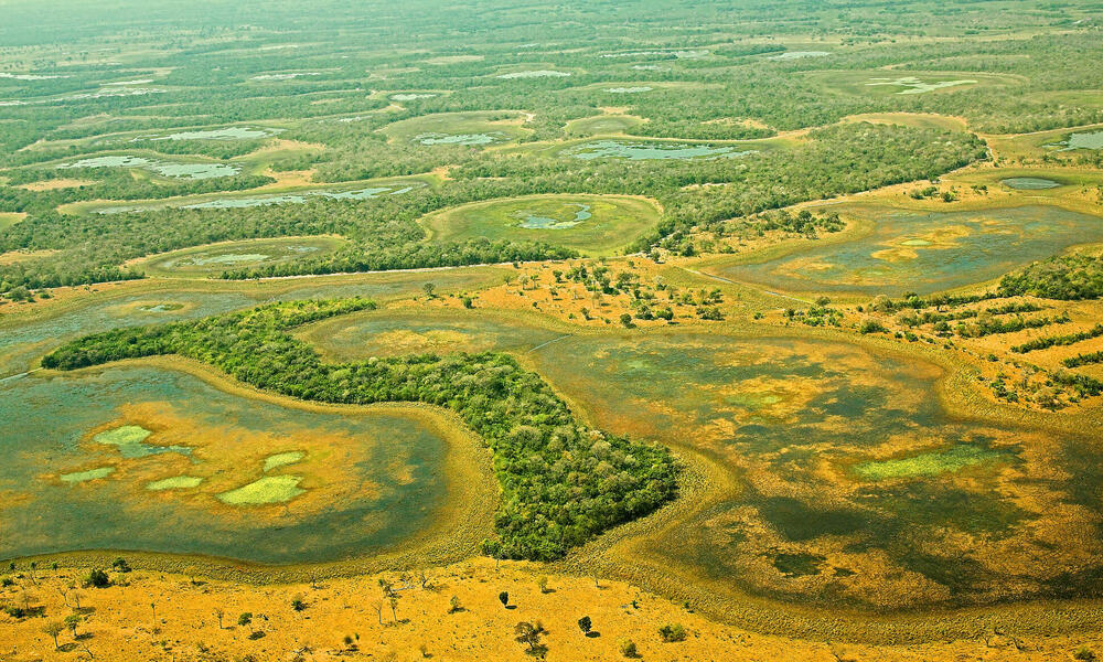 Pantanal air view